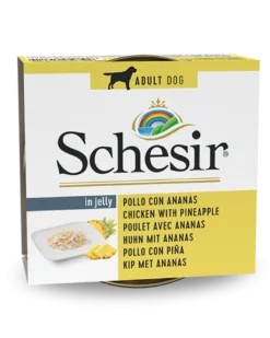 Filetti di Pollo con Ananas
