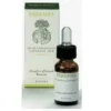 Finocchio dolce olio essenziale 10 ml