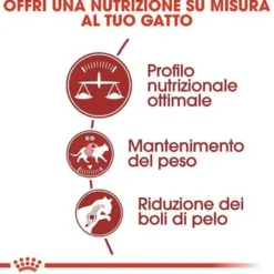 Fit 32