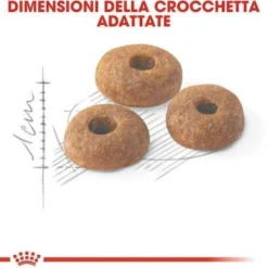 Fit 32