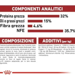 Fit 32