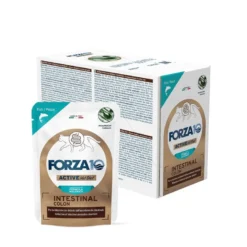 Forza 10 Active Cat Intestinal Colon Pesce Wet Pate' Multipack 12 Bustine da 80 g