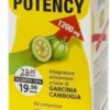 Garcinia potency 1200 dy 60cpr