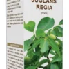 Gemmo 10+ noce 100 ml liquido analcolico
