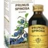 Gemmo 10+ prugnolo 100 ml liquido analcolico