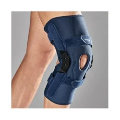 Gibaud ortho ligagib ginecologico art 1