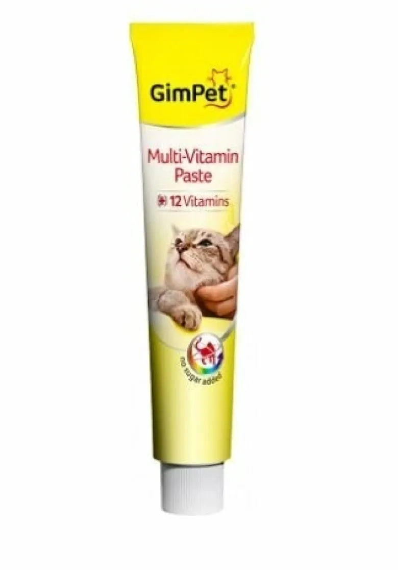 Gimborn Gimcat Pasta Multivitaminica Professional 20g