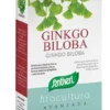 Ginkgo biloba 40 capsule