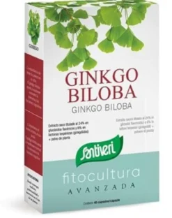 Ginkgo biloba 40 capsule