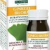 Ginkgo biloba estratto titolato 60 pastiglie