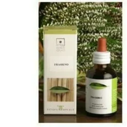 Ginkgo bio 50 ml sottovuoto