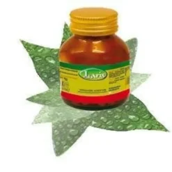 Ginkgo 60 capsule
