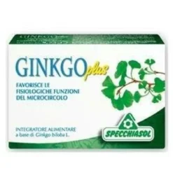 Ginkgo plus 30 capsule