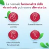 Gyno-canescystil integratore alto dosaggio di d-mannosio per benessere delle vie urinarie 14 bustine