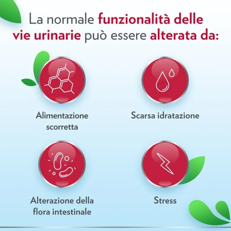 Gyno-canescystil integratore alto dosaggio di d-mannosio per benessere delle vie urinarie 14 bustine