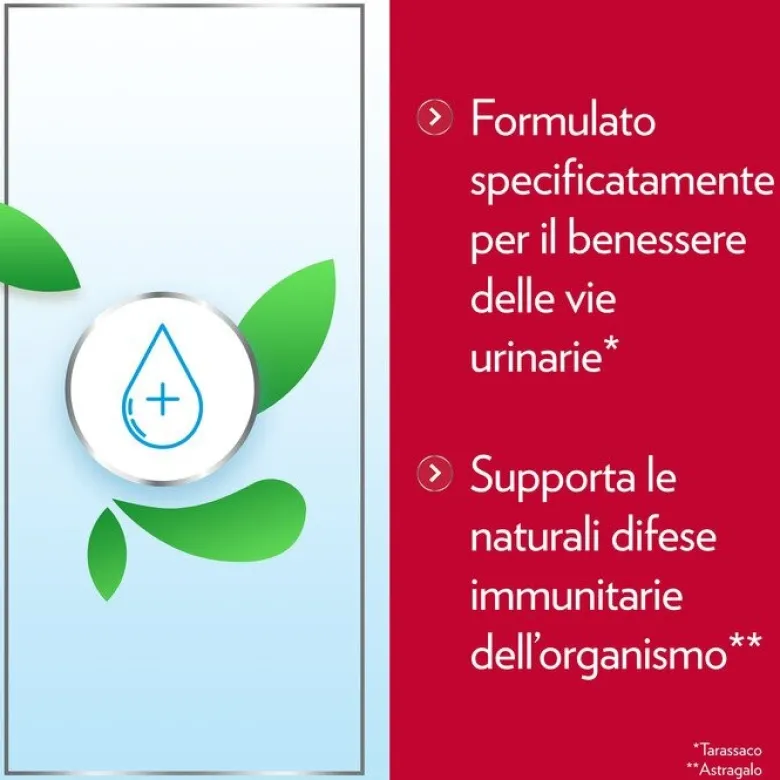 Gyno-canescystil integratore alto dosaggio di d-mannosio per benessere delle vie urinarie 14 bustine