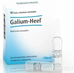 Heel Galium Omeopatico Detossinante 10 fiale da 1,1 ml