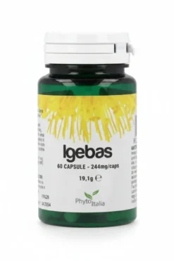 Igebas 60 capsule