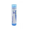 Influenzinum 9ch globuli 1 dose
