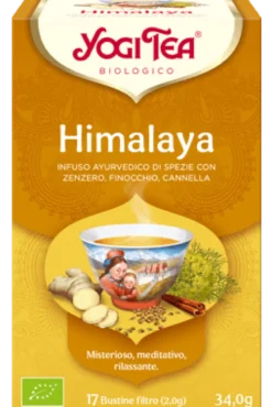 Infuso Ayurvedico Di Spezie