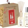I profumi della casa set panettone 1 spray ambiente 100 ml + bastoncini aromatici ambiente 100 ml