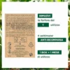 Klorane Maschera in Polvere Antiforfora Galanga 8 bustine