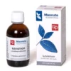 Levisticum eis preparato 03 60