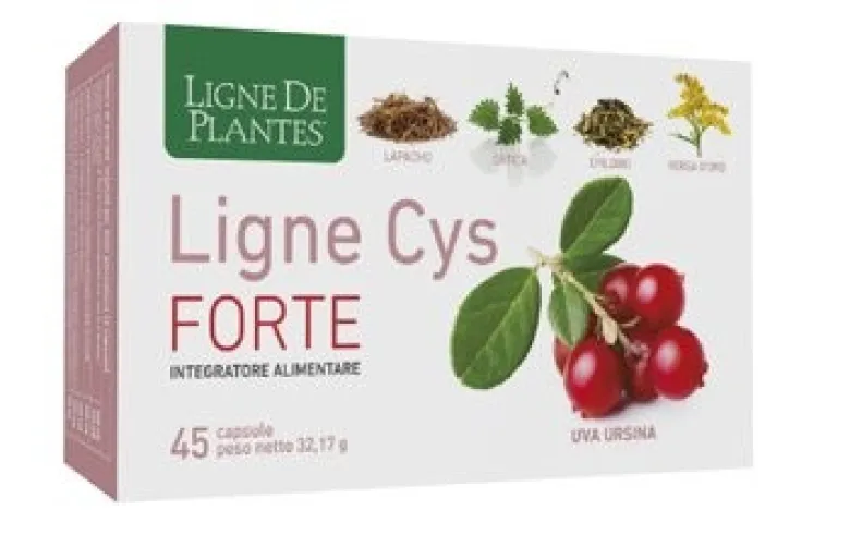 Ligne cys forte 45 capsule