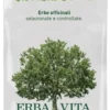 Maca polvere 100g