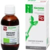 Macerato glicerinato ontano bianco bio 50 ml