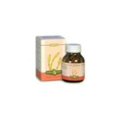 Malva 60 capsule