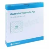 Medicazione di alginato e carbossimetilcellulosa rilascio ioni argento biatain alginate ag piastra 10x10cm 10 pezzi