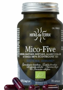 Mico-Five