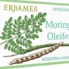 Moringa oleifera 24cps