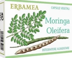 Moringa oleifera 24cps