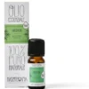 Nasoterapia incenso bio boswellia serrata resina olio essenziale 5 ml