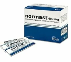 Normast 600 mg 30 bustine