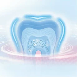 Oral-B PRO Protezione Gengive 3 Spazzolino Elettrico