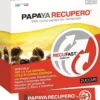 Papaya recupero 14 sticks