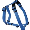 Pettorina 6 dr 25 mm 02