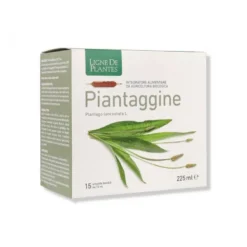 Piantaggine 15ampolle