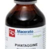 Piantaggine tintura madre bio 100 ml