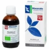 Pilosella tintura madre bio 50ml