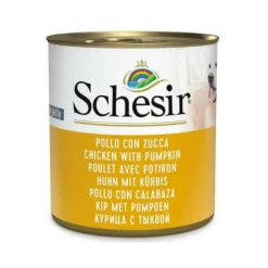 Pollo con Zucca in Gelatina