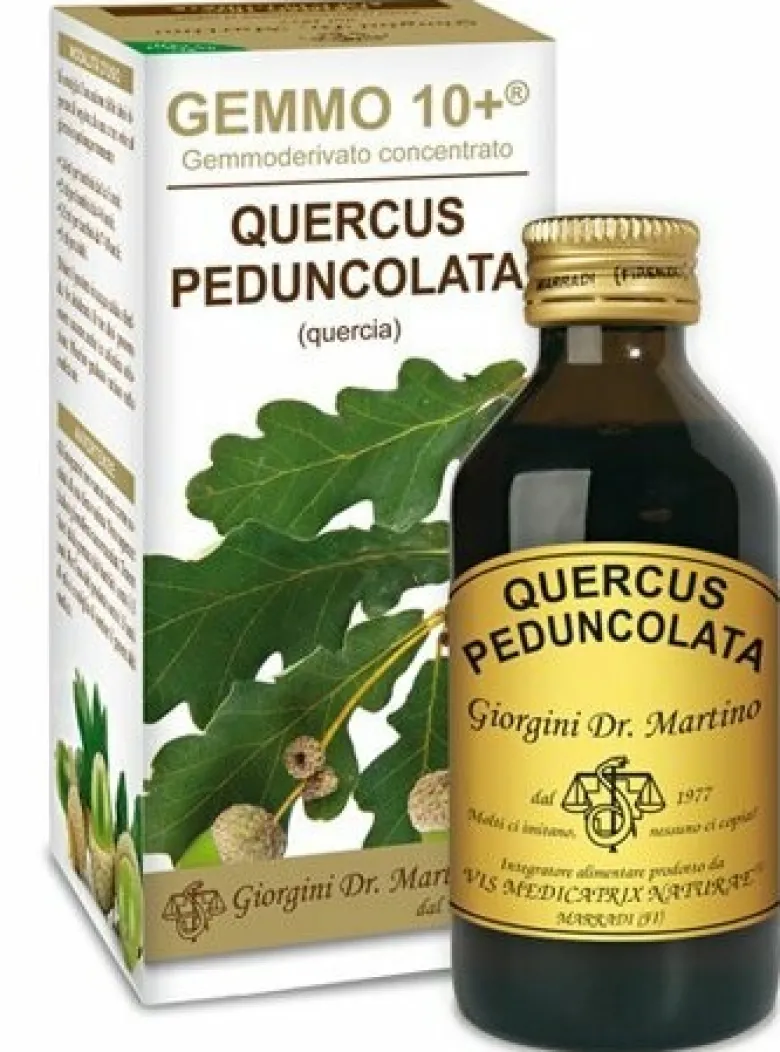 Quercia 100ml analco gemmo 10+