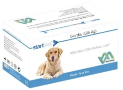 Rapid Test Kit