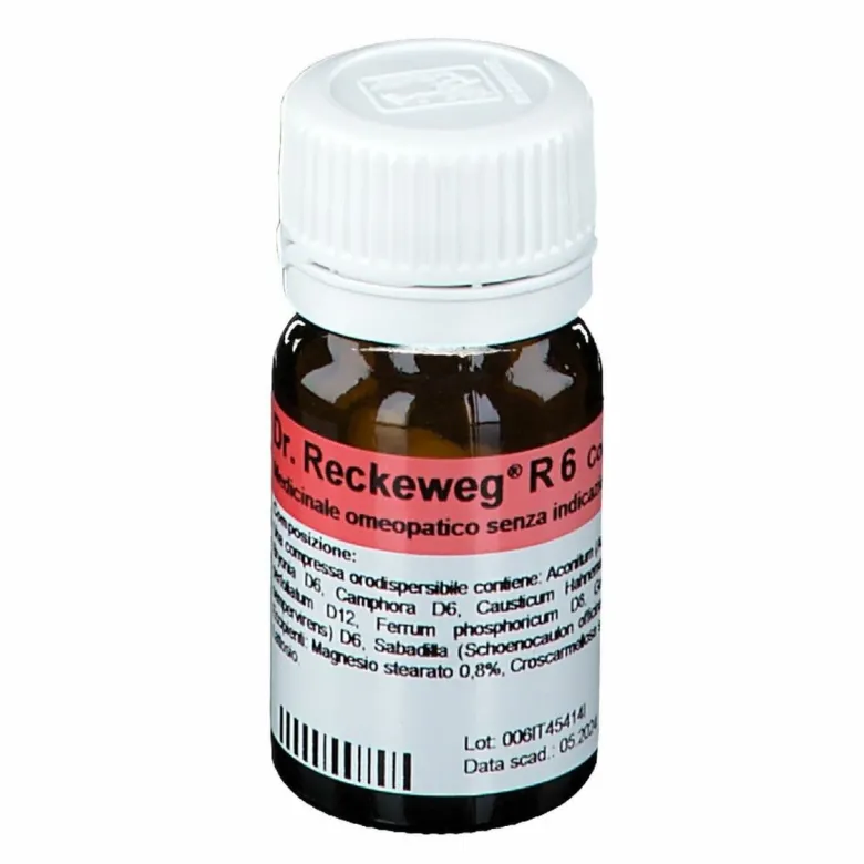 Reckeweg r6 100 compresse