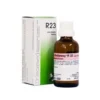 Reckeweg r23 gocce 22 ml
