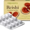 Reishi