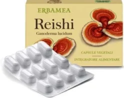 Reishi
